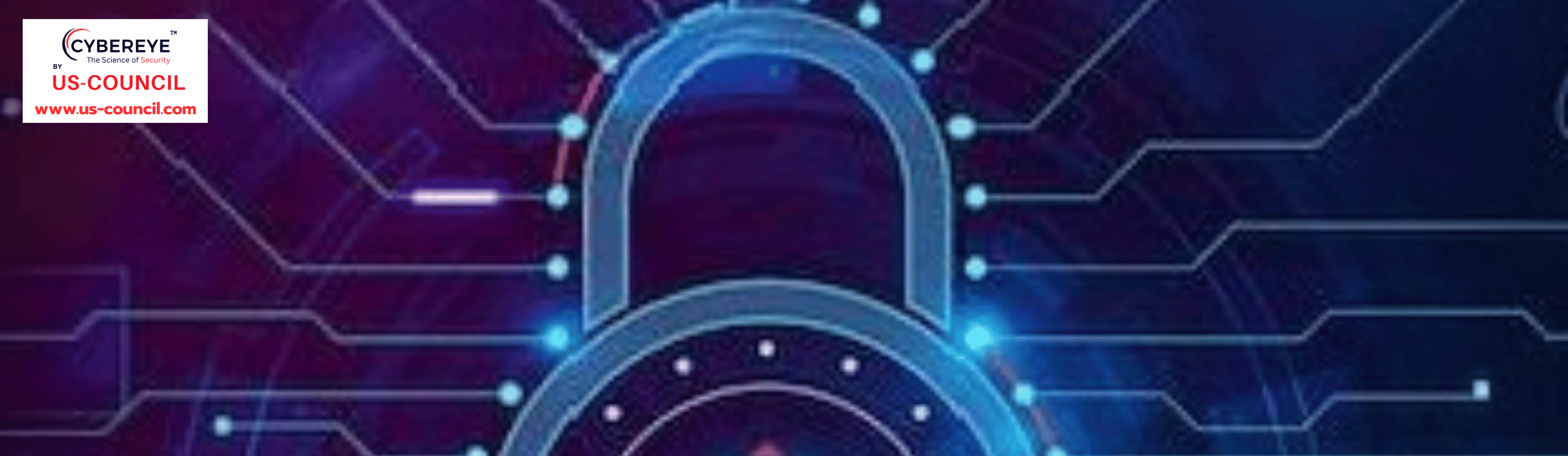 Cybersecurity Professional Course slider image.